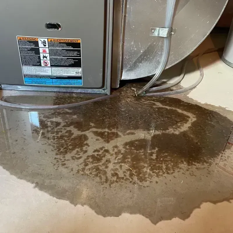 Appliance Leak Cleanup in Fairplains, NC